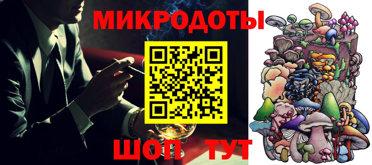 Псилоцибиновые грибы Psilocybe Камышин