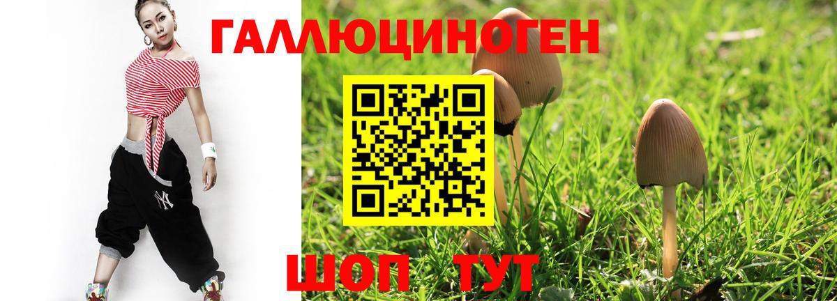Галлюциногенные грибы GOLDEN TEACHER  Галлюциногенные грибы ЛСД  Вход с VPN  Камышин 
